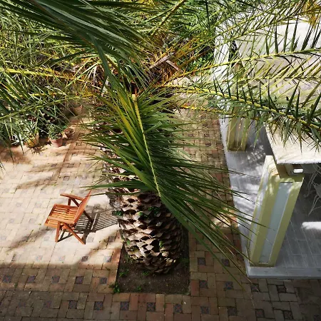 ベッド・アンド・ブレックファスト La Salamandra Kitchengarden Forio di Ischia